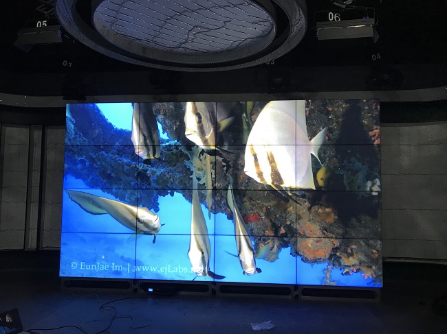 公海7108线路科技55寸3.5mm液晶拼接屏